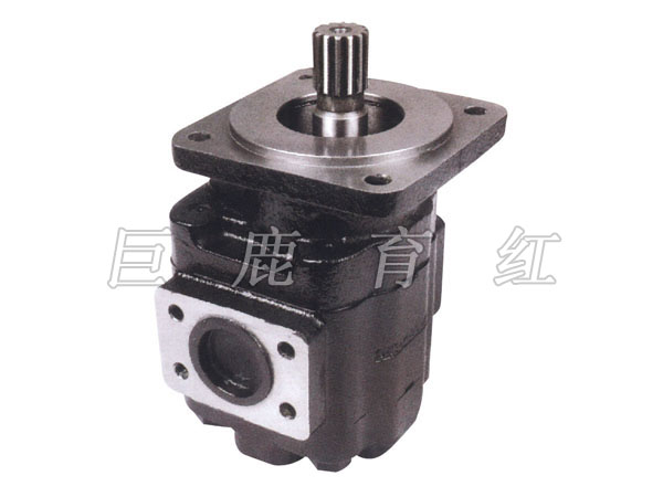 TR50 举升油泵 09253503/20011793 TR50 举升油泵 09253503/20011793